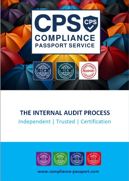 The Internal Audit Process